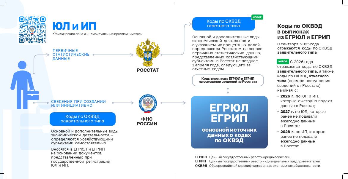 ФНС России напоминает, как вносятся коды ОКВЭД в реестры ЕГРЮЛ и ЕГРИП.